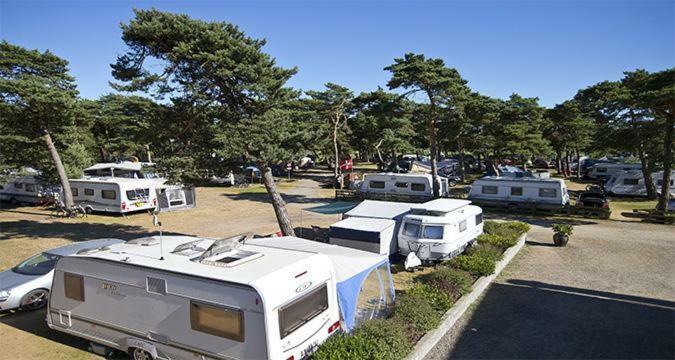 Dueodde Strand Camping Esterno foto