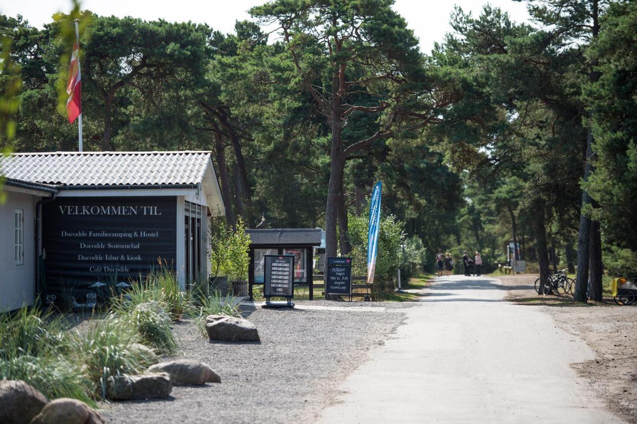 Dueodde Strand Camping Esterno foto